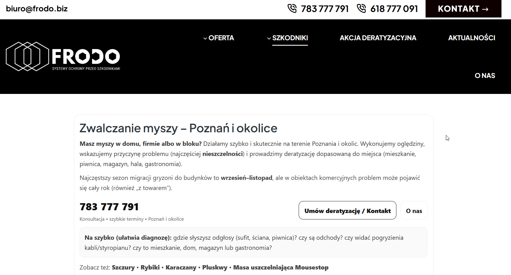 Deratyzacja magazynów i hal produkcyjnych - jak chronić towary przed gryzoniami?